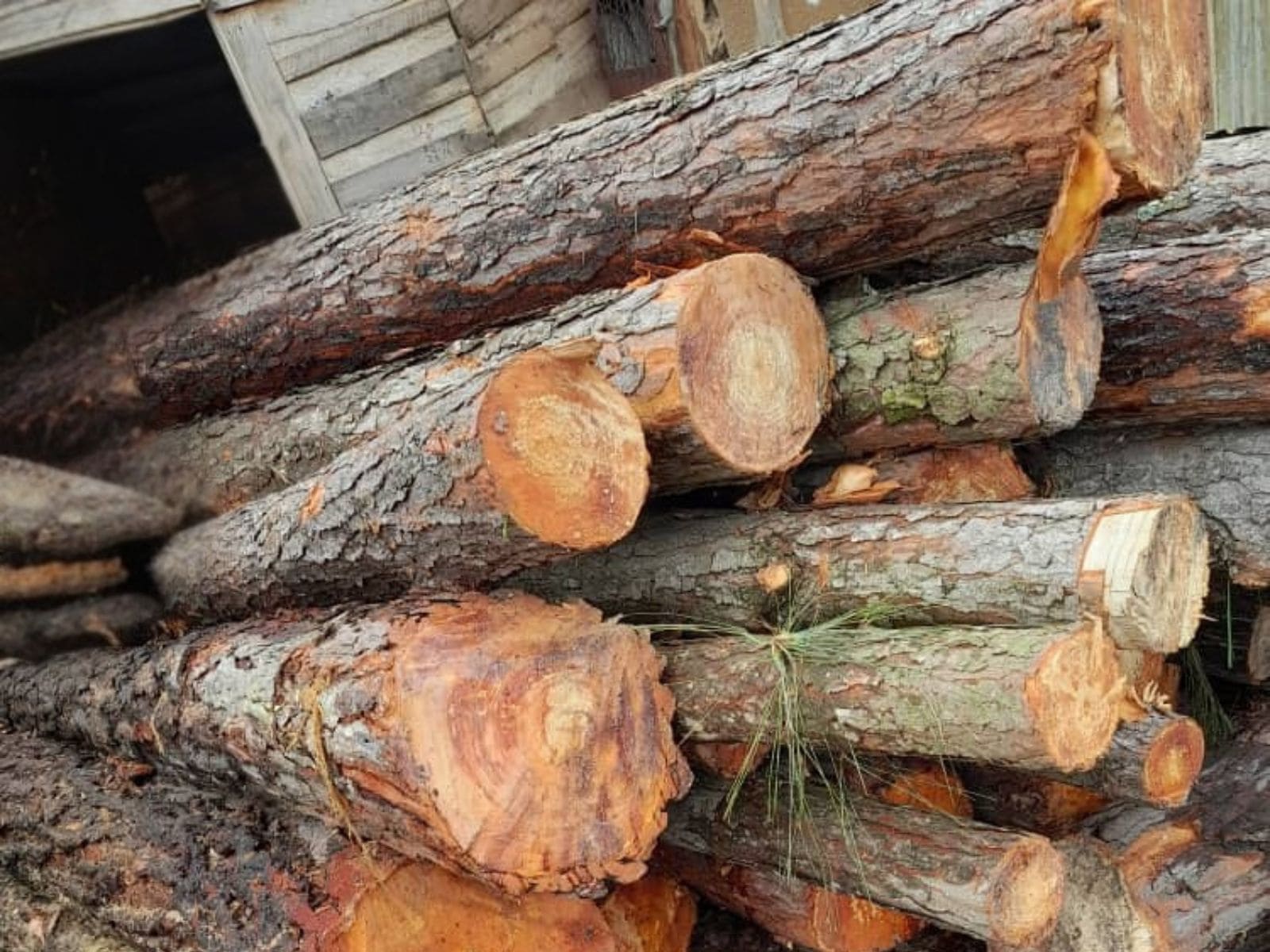 Log Inventory